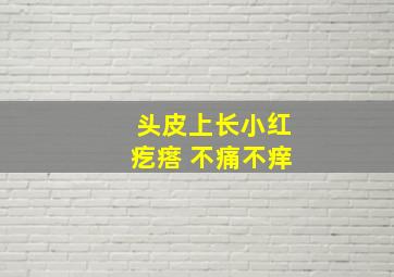 头皮上长小红疙瘩 不痛不痒